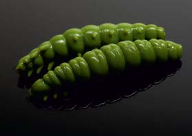 Larva 35 mm